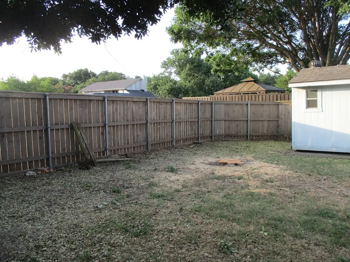 Cleared yard after professional tree removal in Gibsland